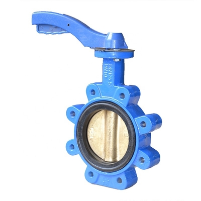 Lug Type Butterfly Valve